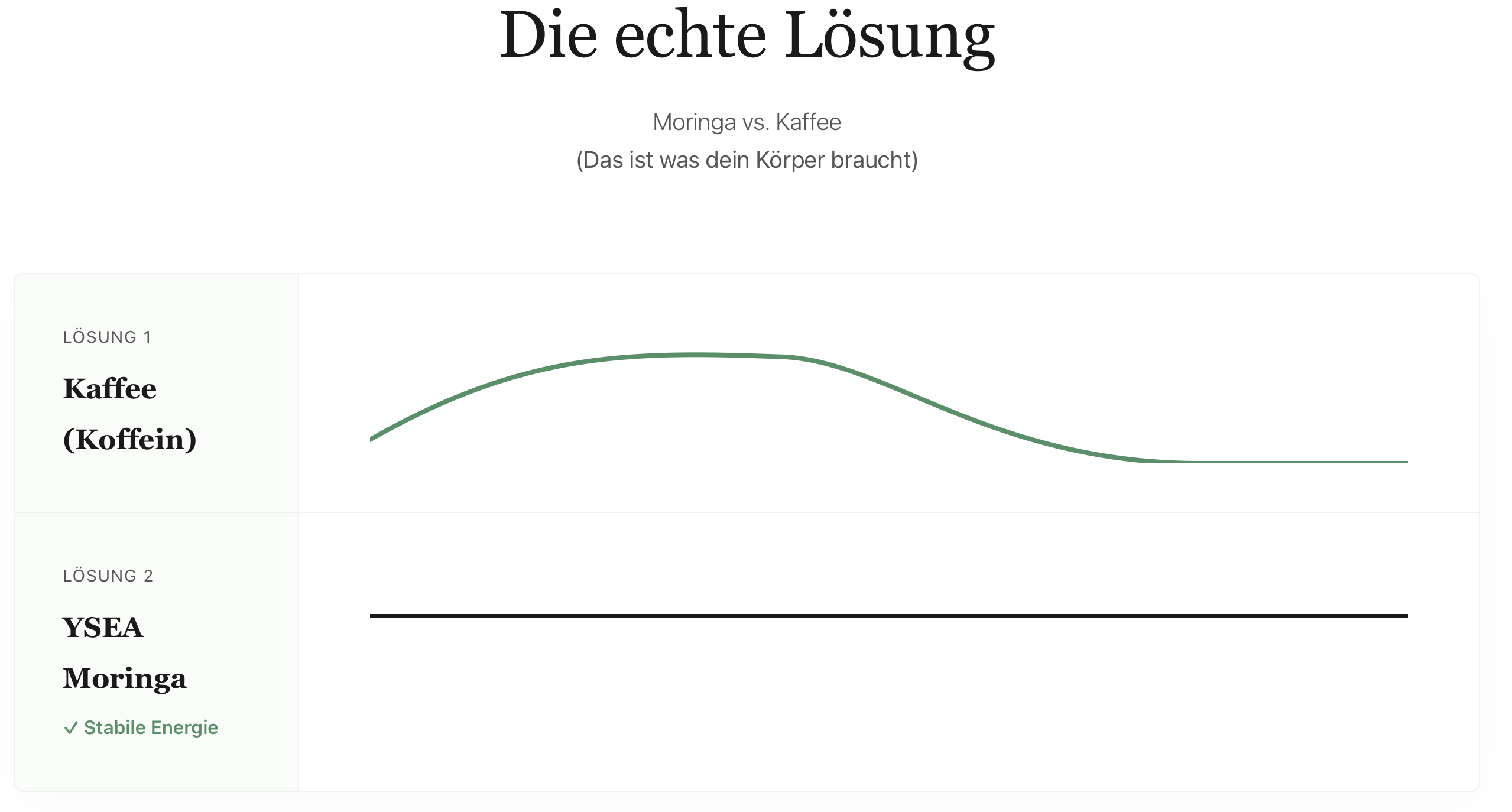 Die echte Lösung - Energie